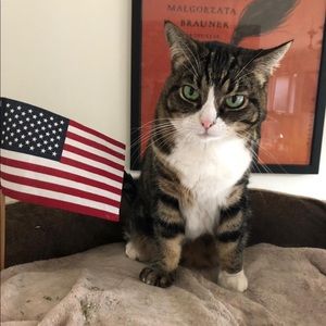 Meet your Posher, Crissy